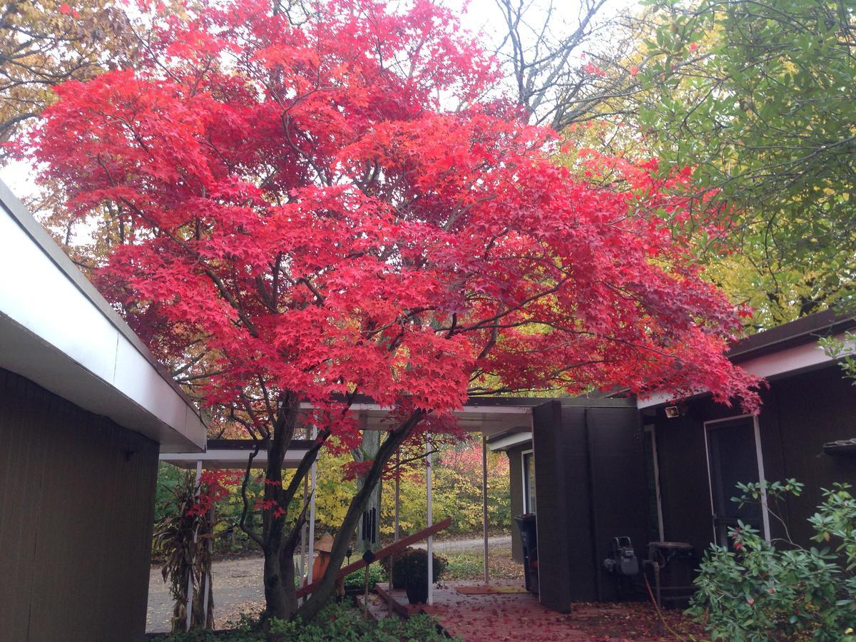 Huron River Guest House Ann Arbor Buitenkant foto